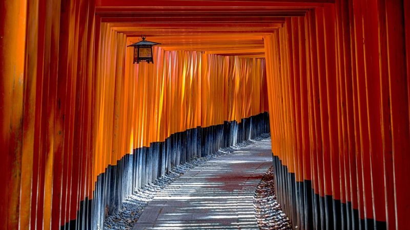 妹居物语 场景参考图
