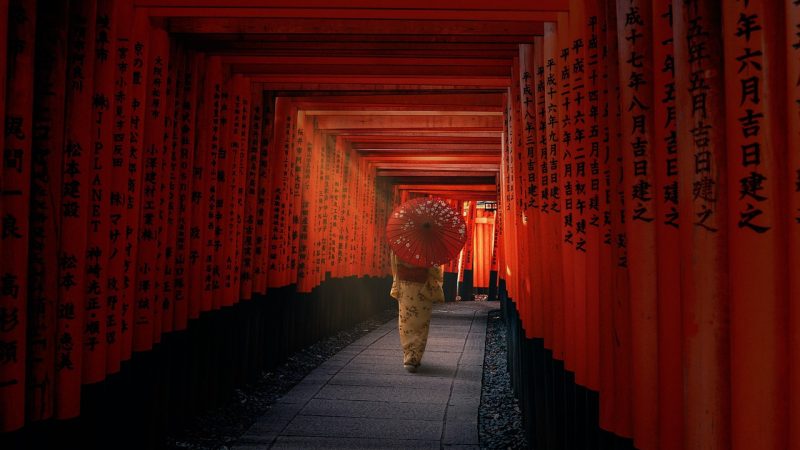 妹居物语 相关配图