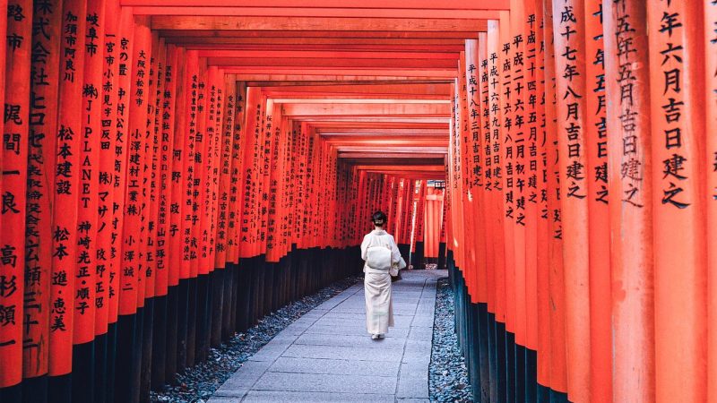 妹居物语 示意图
